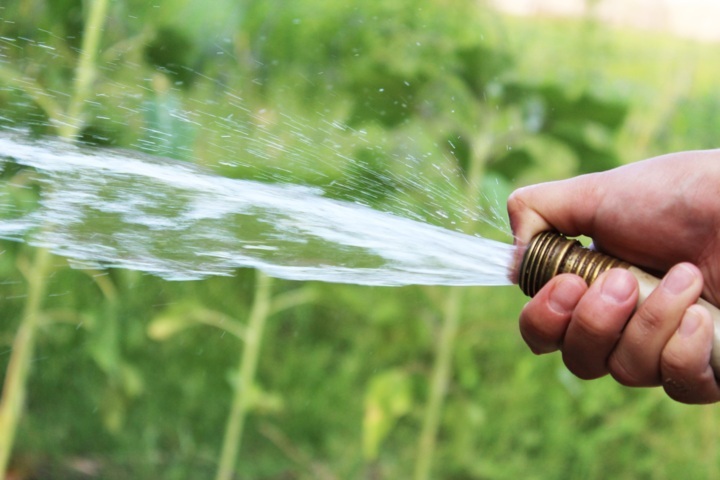 ORTAGGI – L’irrigazione dell’orto - Solaria Giardini