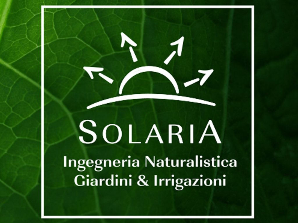 Bulbose a Fioritura primaverile - Blog - Solaria Giardini